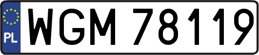 WGM78119