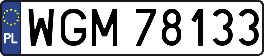 WGM78133