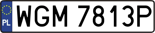 WGM7813P