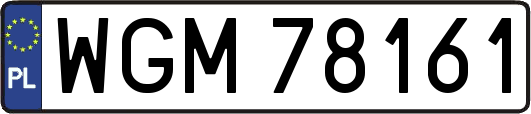 WGM78161