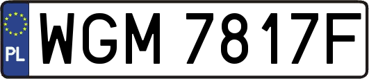 WGM7817F