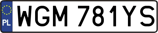 WGM781YS