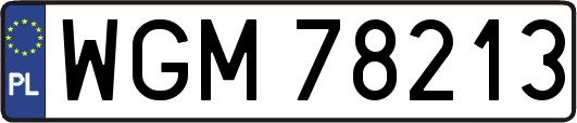 WGM78213