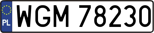 WGM78230