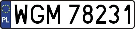 WGM78231