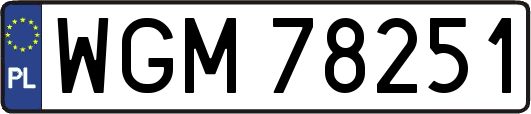 WGM78251