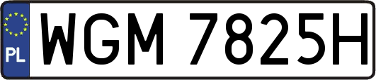 WGM7825H