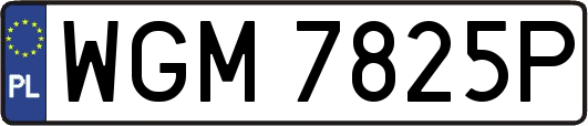 WGM7825P