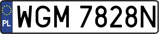 WGM7828N