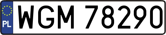 WGM78290