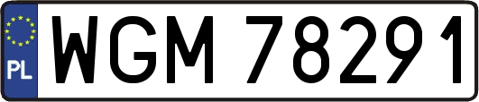 WGM78291