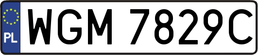 WGM7829C