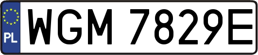 WGM7829E