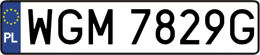 WGM7829G