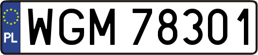 WGM78301