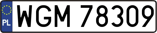 WGM78309