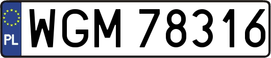 WGM78316