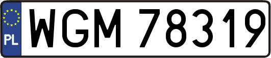 WGM78319