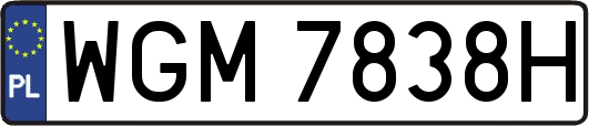 WGM7838H
