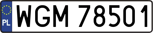 WGM78501