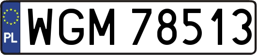 WGM78513