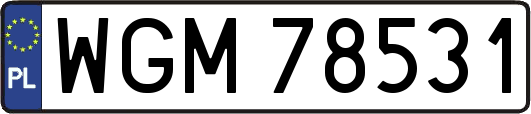 WGM78531