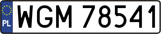 WGM78541