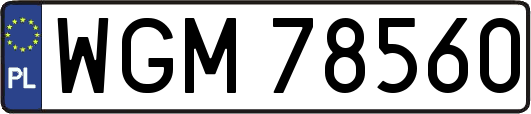 WGM78560