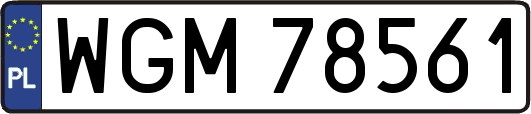 WGM78561