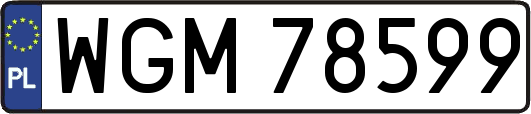 WGM78599