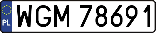 WGM78691