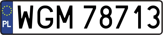 WGM78713