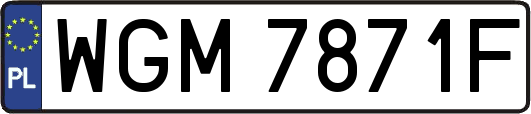 WGM7871F