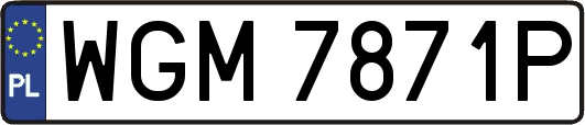 WGM7871P
