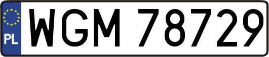 WGM78729