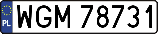 WGM78731