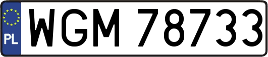 WGM78733