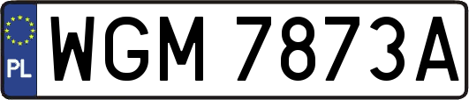 WGM7873A