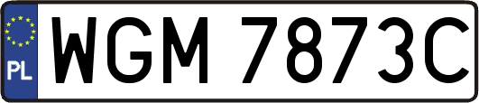 WGM7873C