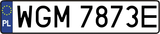 WGM7873E