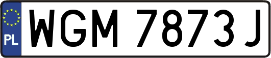 WGM7873J
