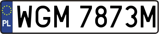 WGM7873M
