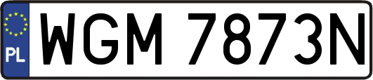 WGM7873N