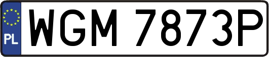WGM7873P