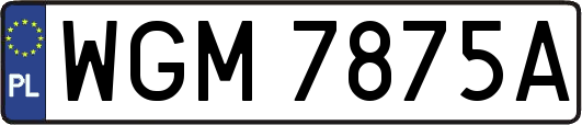 WGM7875A