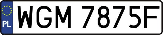 WGM7875F