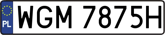 WGM7875H