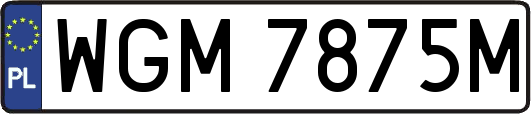 WGM7875M