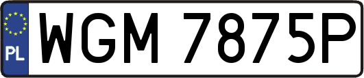 WGM7875P