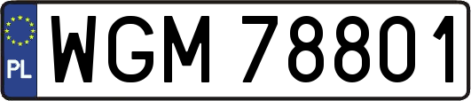 WGM78801